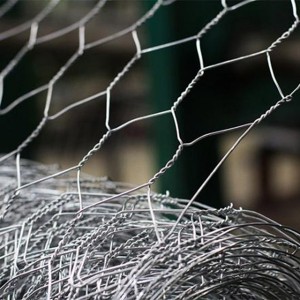 Good flexibility and corrosion resistance hexagonal mesh for chicken wire mesh