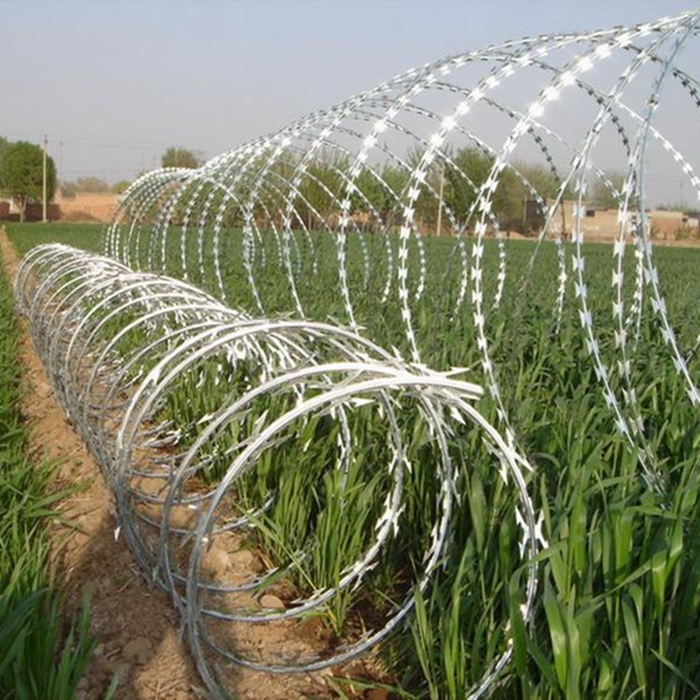 Wall blade barbed wire Wall blade barbed wire