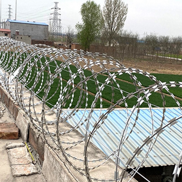 Main features of razor blade barbed wire Main features of razor blade barbed wire