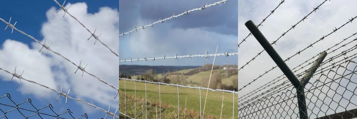Security Wire Fence Galvanized Wire Fence Razor Wire