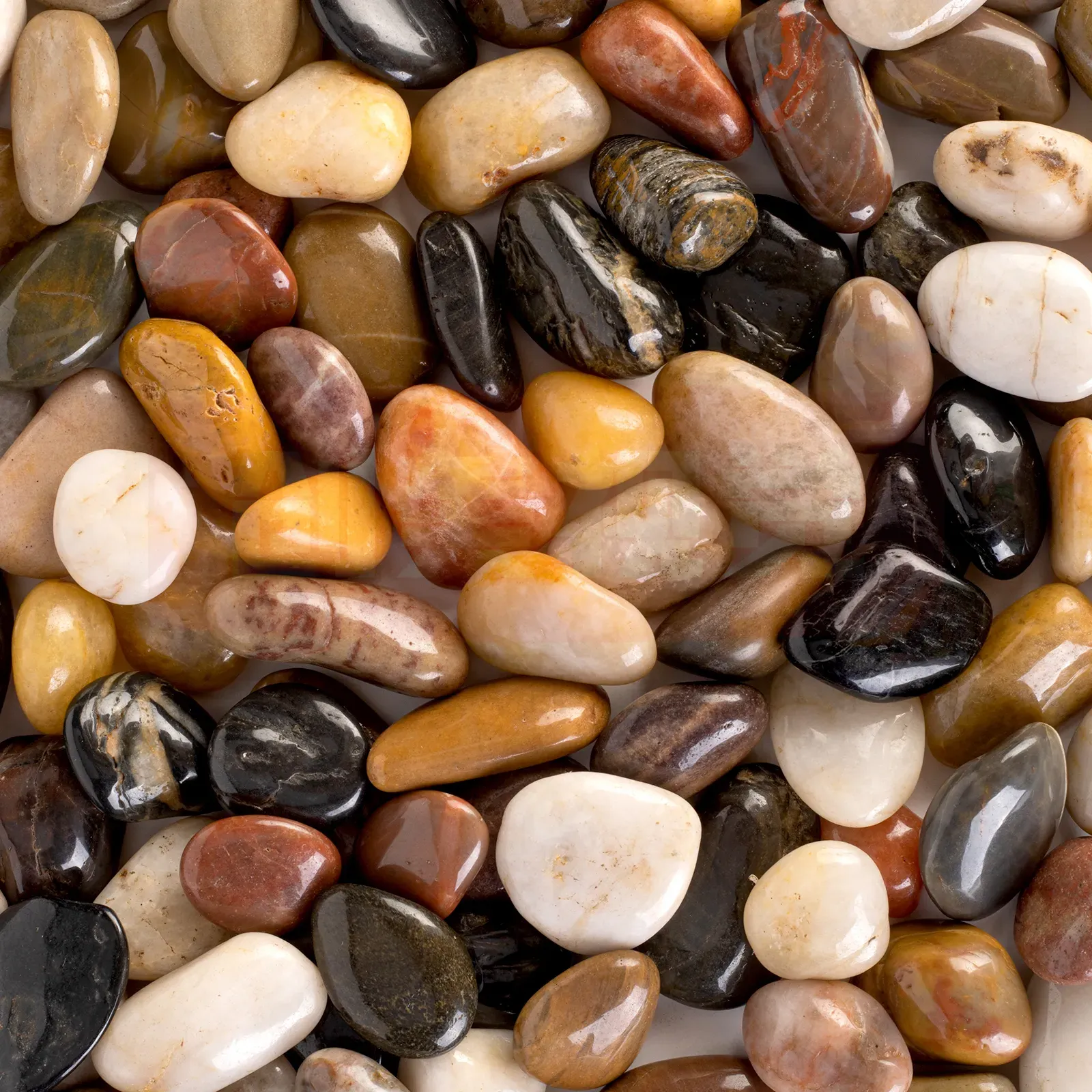 The Allure of Grey Pebbles in Your Outdoor Spaces