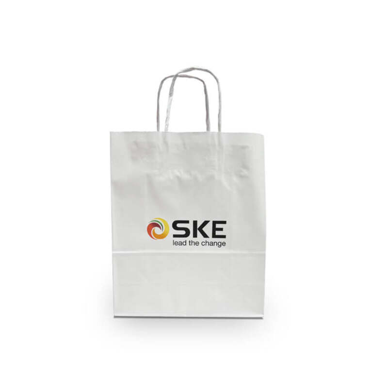 PrintedPaperBags250x110x300mm-IMG-1_600x600