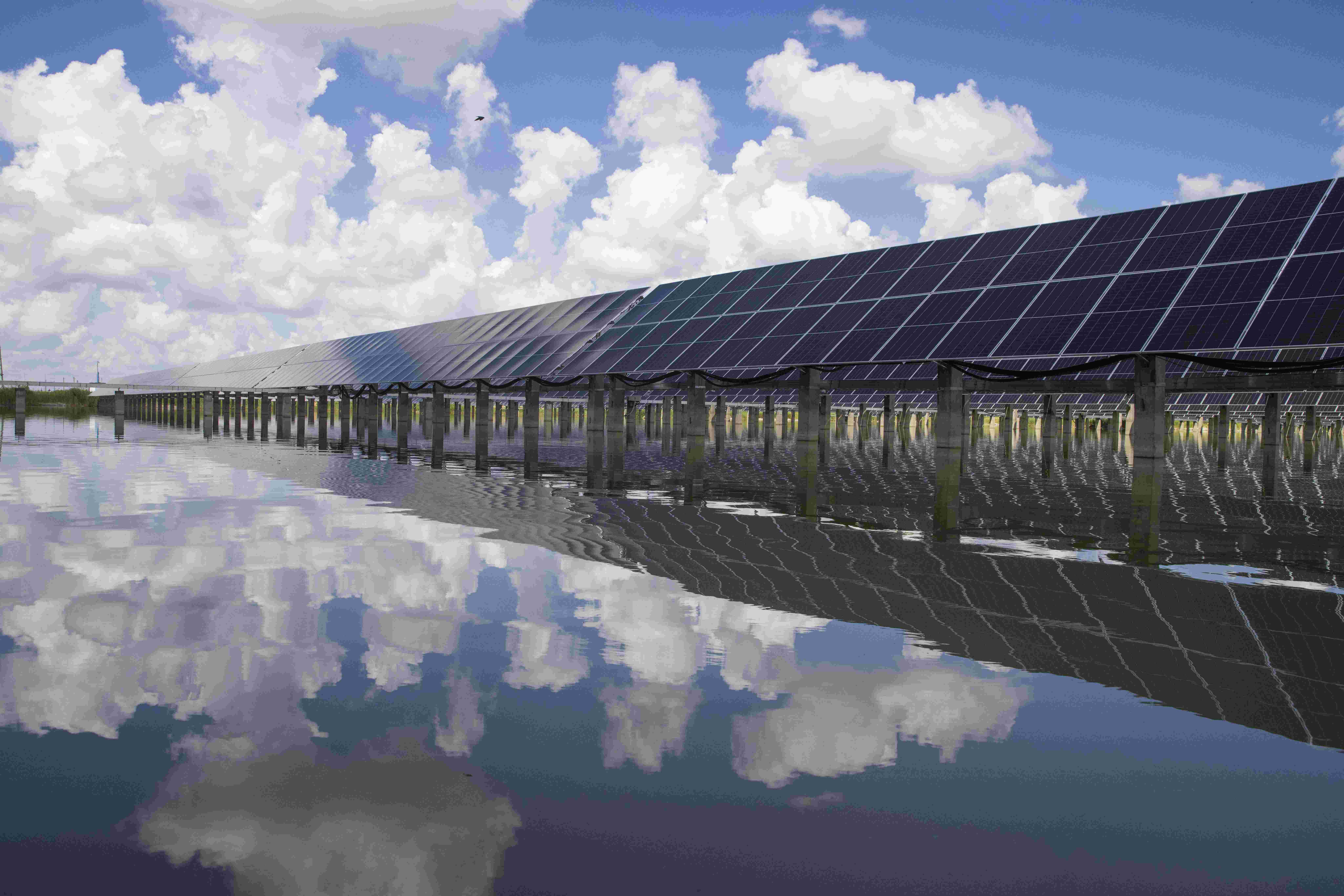 CE Certified Solar Energy Storage Company Solutions CE Certified Solar Energy Storage Company Solutions
