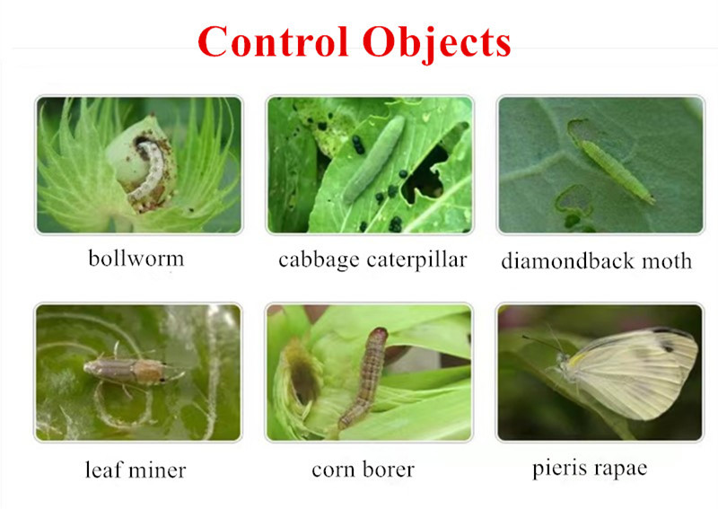 Insecticide Manufacturers Specializing in Acetamiprid for Pest Control in Herts Area Insecticide Manufacturers Specializing in Acetamiprid for Pest Control in Herts Area