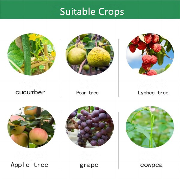 Discount on Flutriafol Fungicide for Treating Roses Discount on Flutriafol Fungicide for Treating Roses
