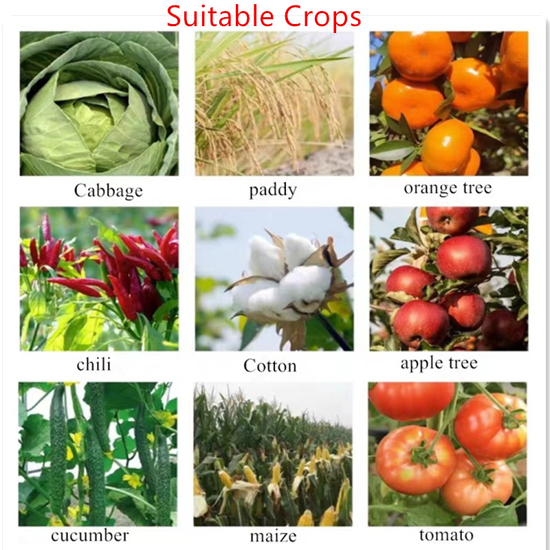 Prominent imidacloprid treatment against mites. Prominent imidacloprid treatment against mites.