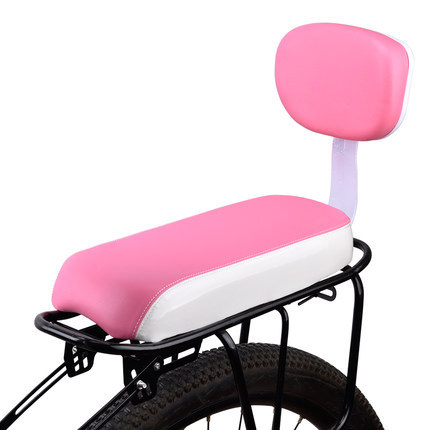bike backseat (15)
