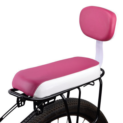 bike backseat (11)
