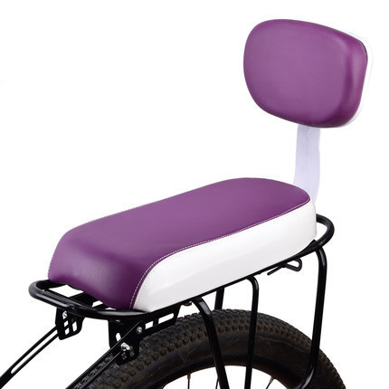 bike backseat (12)