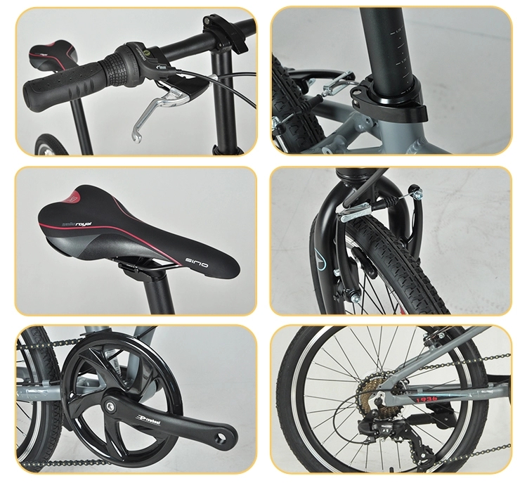 folding bike 1