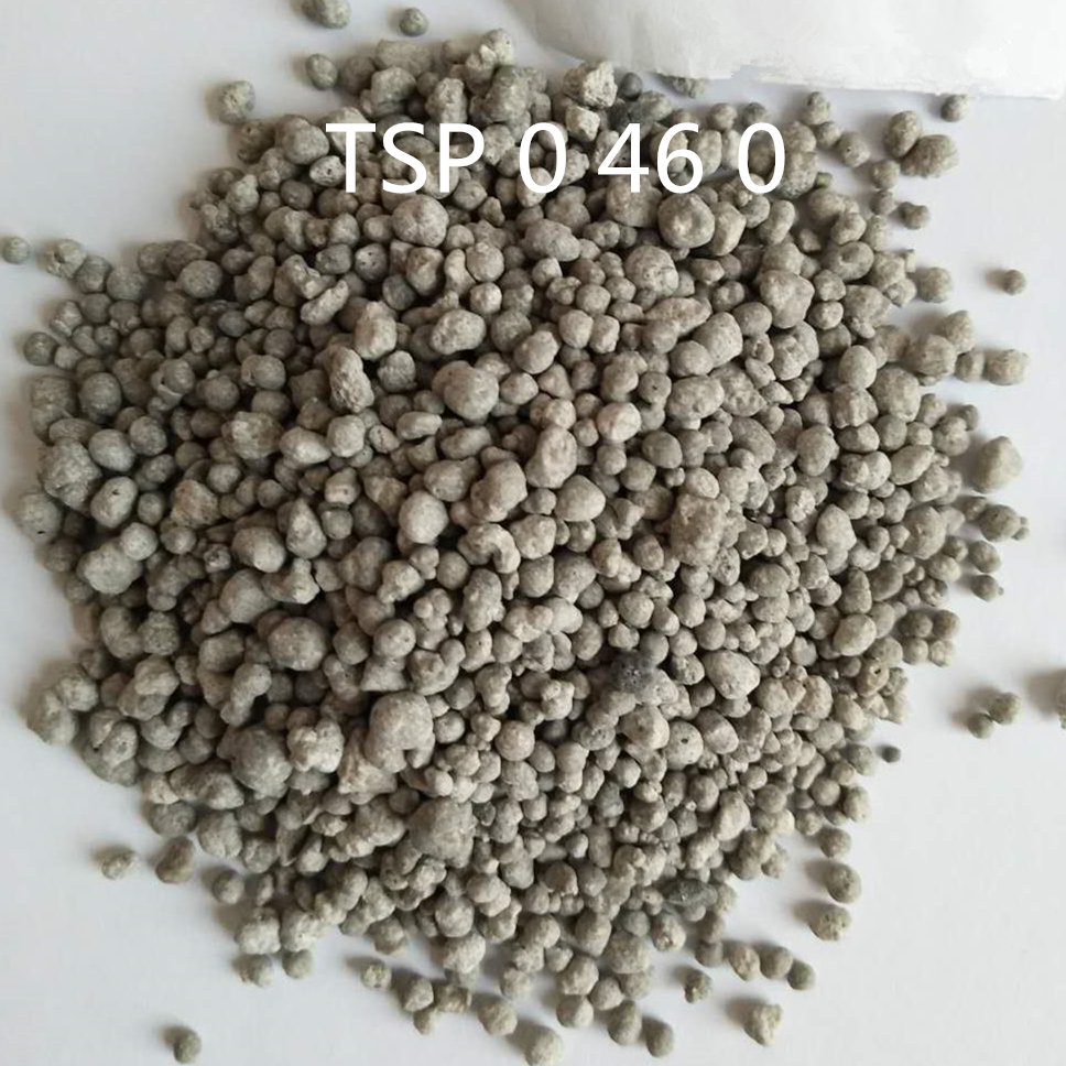 Triple Super Phosphate 46% TSP granular