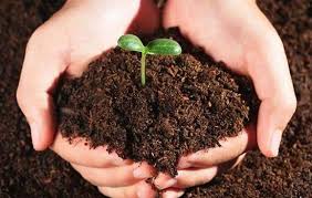 Advantages Of Using Organic Fertilizer