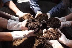 Five Benefits of Soil Organic Matter