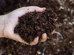 Impact of Using Organic Fertilizer on Soil and its Properties