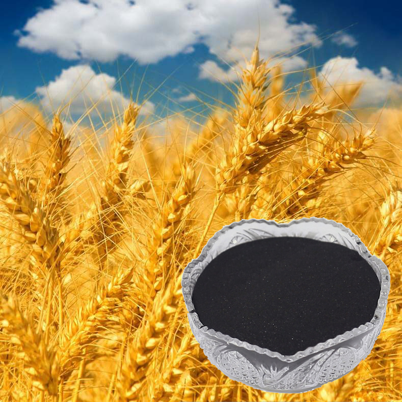 Organic fertilizer manufacturers producing 20-20-20 nutrient blend for optimal plant growth and health. Organic fertilizer manufacturers producing 20-20-20 nutrient blend for optimal plant growth and health.