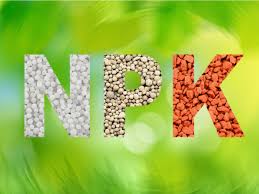 Phosphate and potash based fertilizer