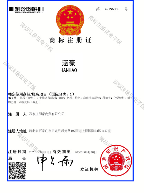 Premium Organic Fertilizer for Sustainable Agriculture Premium Organic Fertilizer for Sustainable Agriculture