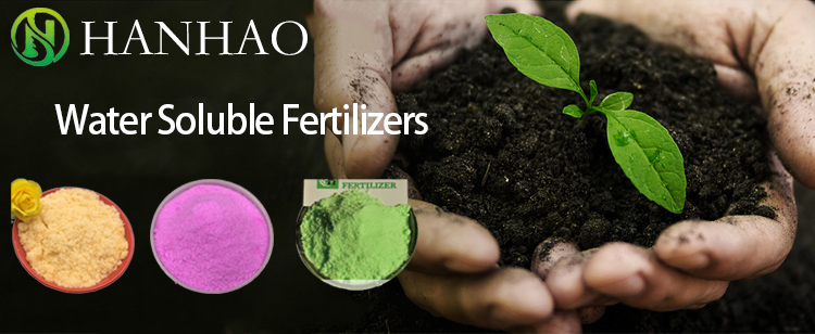 Top Non-Organic Fertilizers for Garlic Best Suppliers Guide Top Non-Organic Fertilizers for Garlic Best Suppliers Guide