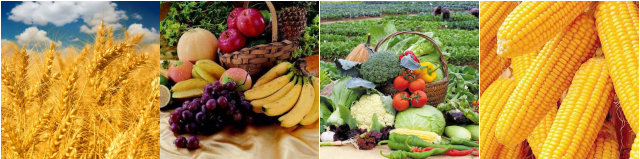 Fertilizer manufacturers 2015-05-15 update. Fertilizer manufacturers 2015-05-15 update.