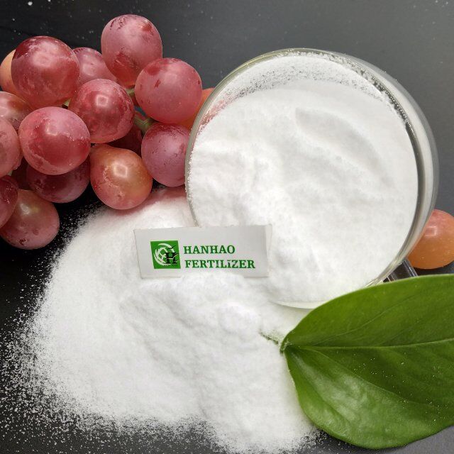 Optimize Your Tomato Growth Discover the Top NPK Fertilizer for Exceptional Results