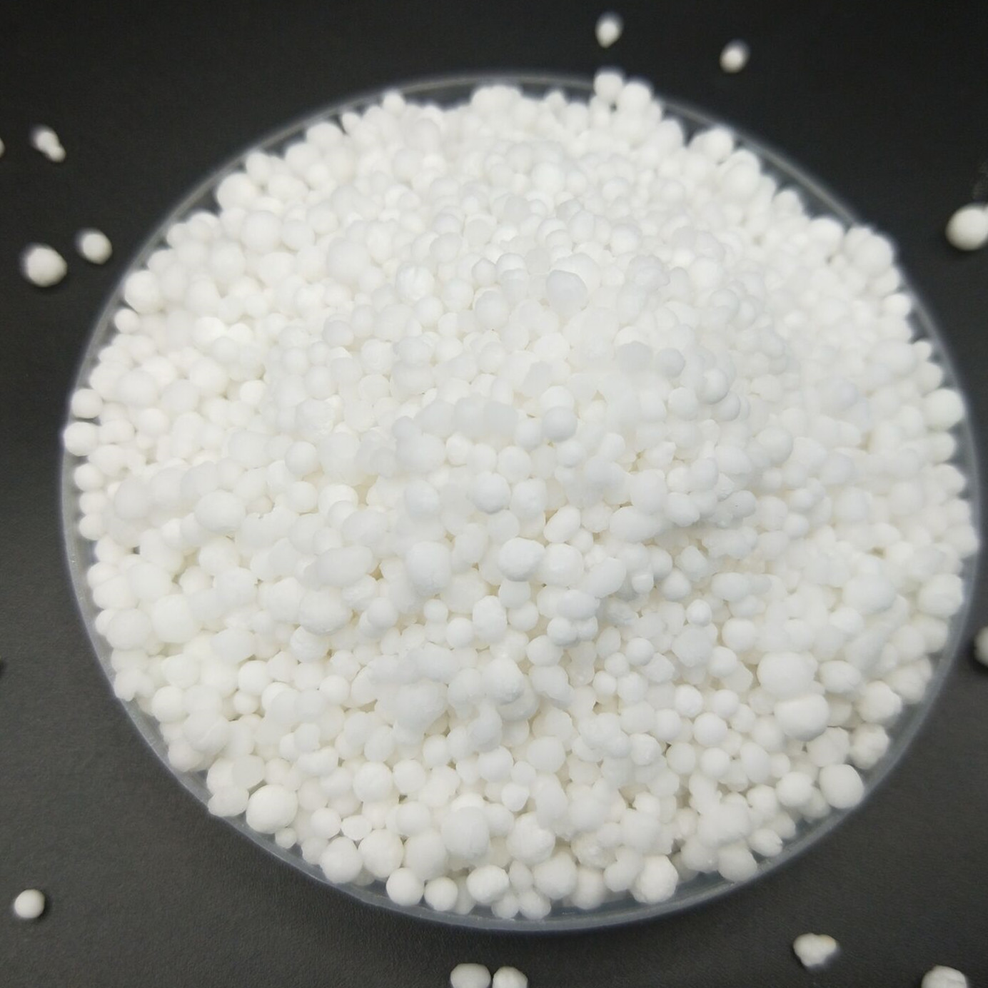 Find the best organic fertilizer for your veggie factory. Find the best organic fertilizer for your veggie factory.