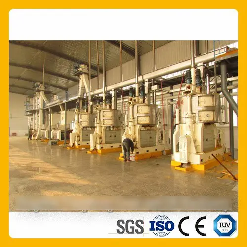 Vegetable Oilseed Pressing Line
