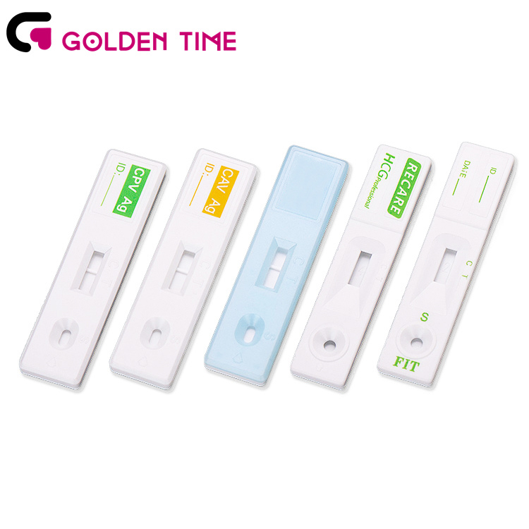 Rapid test-All About Pregnancy Tests
