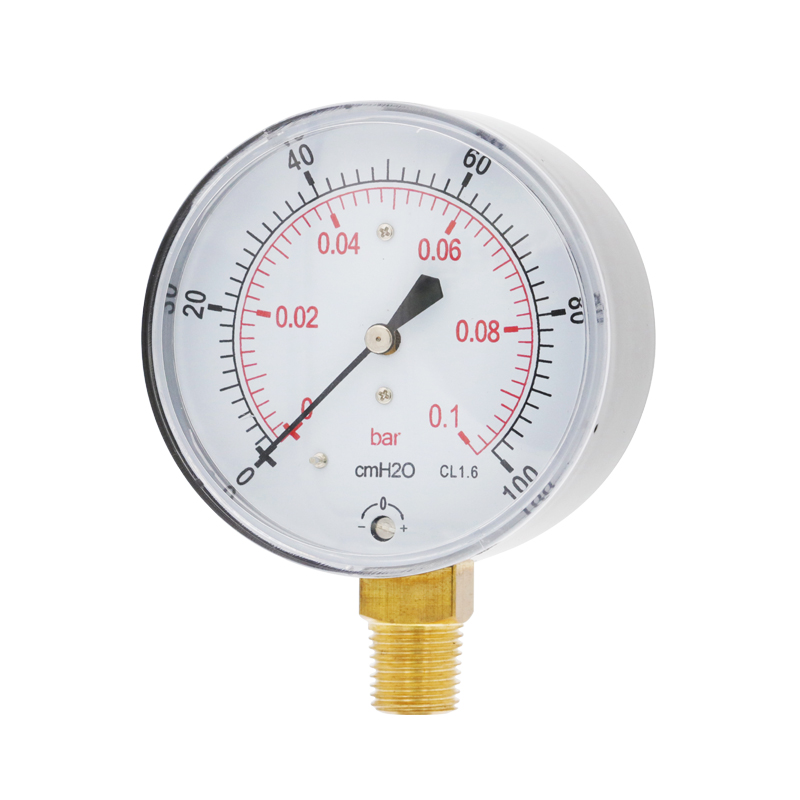 Capsule Pressure Gauge (CPG) -SS case, brass connection, extrusion type