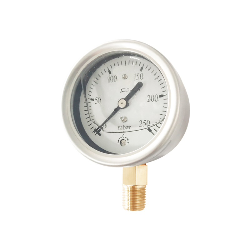 Capsule Pressure Gauge (CPG) -SS case, brass connection, Vibration proof type