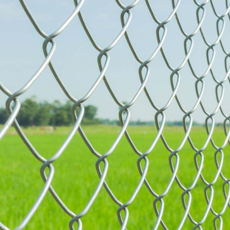 china plastic window screen factory