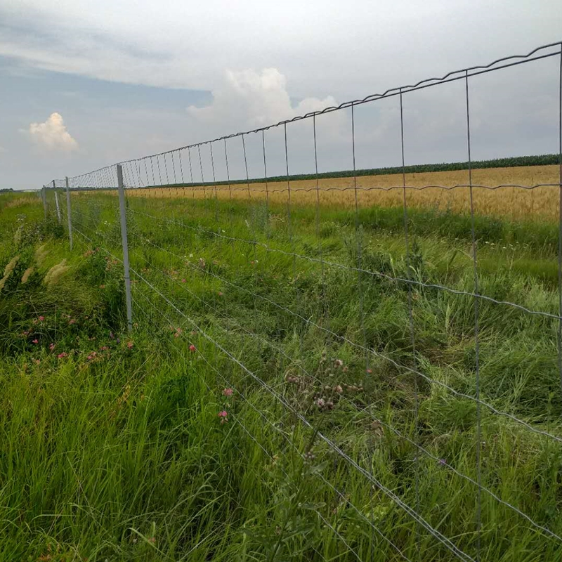 china removable fence suppliers