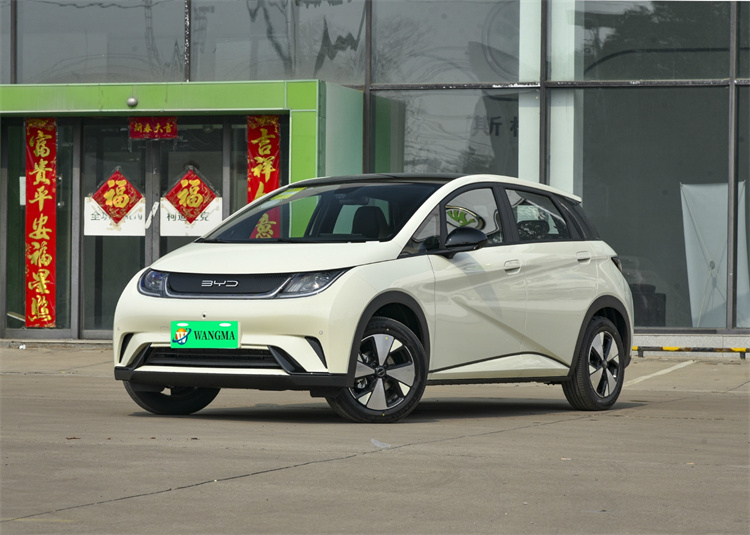 3. BYD Electric Car 3. BYD Electric Car