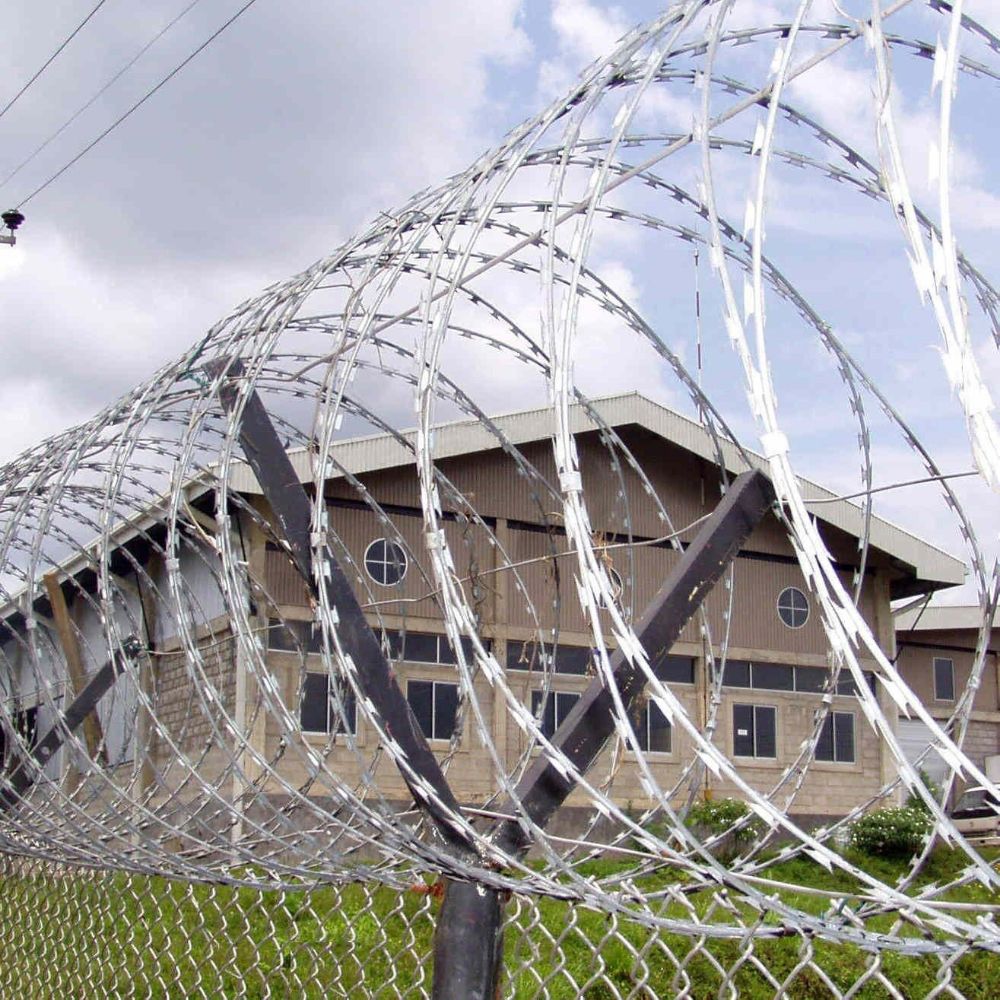 Eco-friendly poultry netting solutions. Eco-friendly poultry netting solutions.