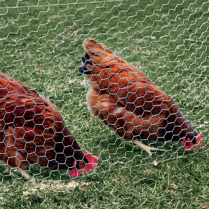 china gabion wire mesh 80x100 gabion suppliers