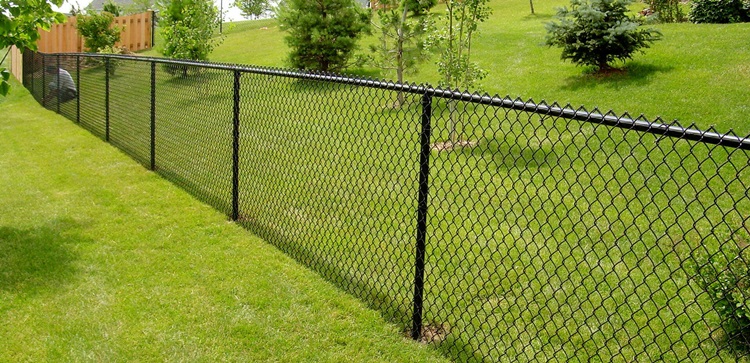 galvanized chicken wire quotes