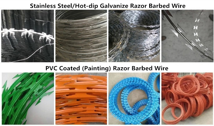 Green PVC Coated Wire Fence Durable and Eco-Friendly Wholesale Solution Green PVC Coated Wire Fence Durable and Eco-Friendly Wholesale Solution