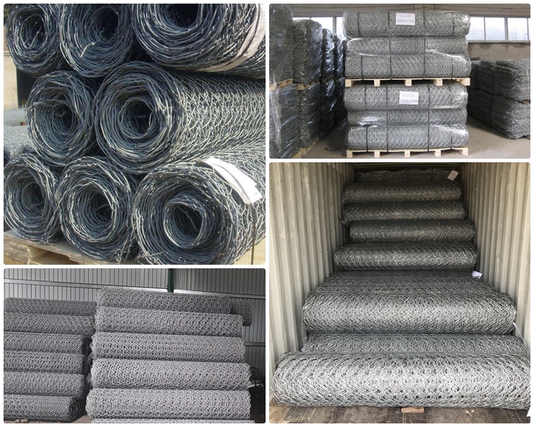 welded wire mesh product