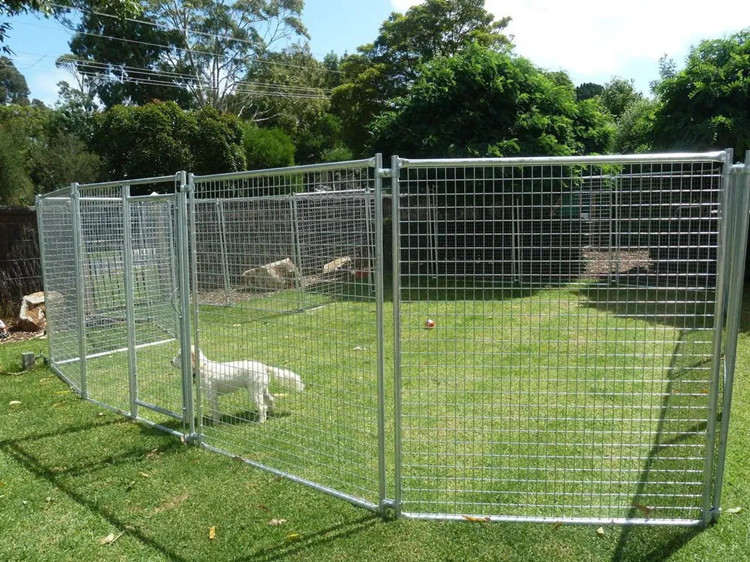 Galvanized chicken wire suppliers. Galvanized chicken wire suppliers.
