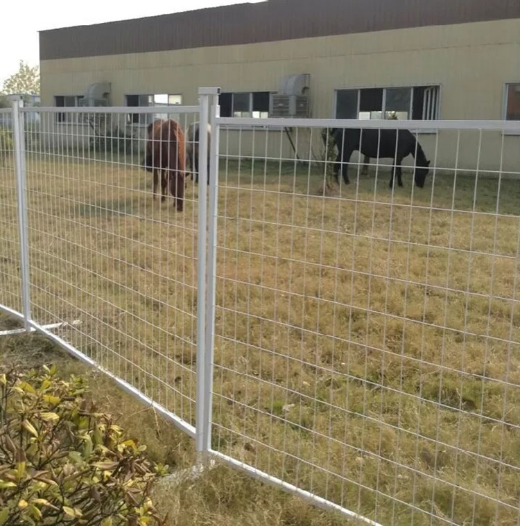 3. Mesh Factory Wholesaler 3. Mesh Factory Wholesaler